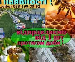 Бджолині плідні молоді мічені матки, Бджоли