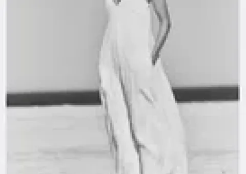 Zara linen dress