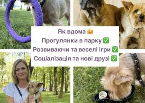 Готель для тварин, перетримка
