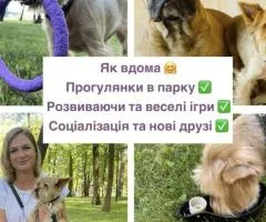 Готель для тварин, перетримка