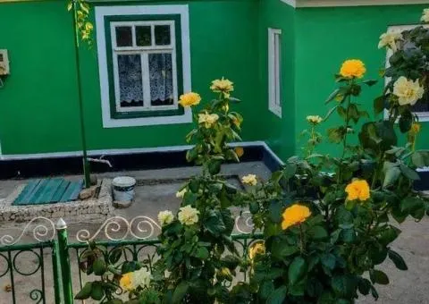 Капитальный дом Дальник