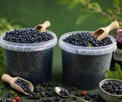 Свежая Закарпатская черника