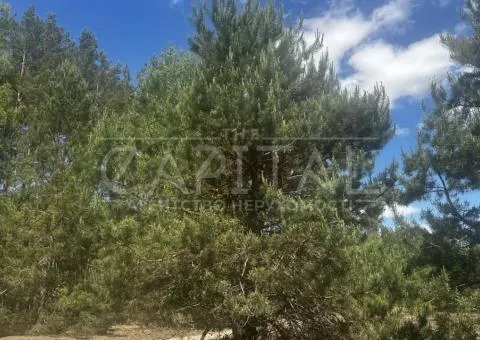 land plot for residential development - 7/10