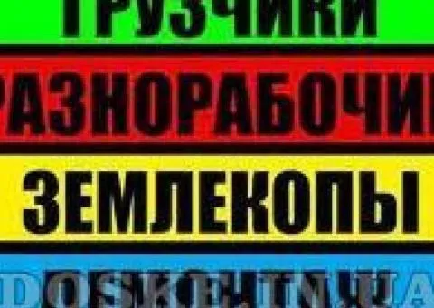 Шукаю роботу: вантажник, різноробочий, демонтаж, земляні, прибирання, вирубка дерев, Одеса