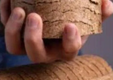 Wood fuel briquettes — price per tonne, from 22 t