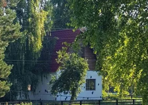 Продаётся усадьба.