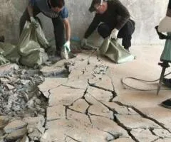 Демонтаж, землянные ,уборка участка,спил дерева с вывозом мусора Одеса