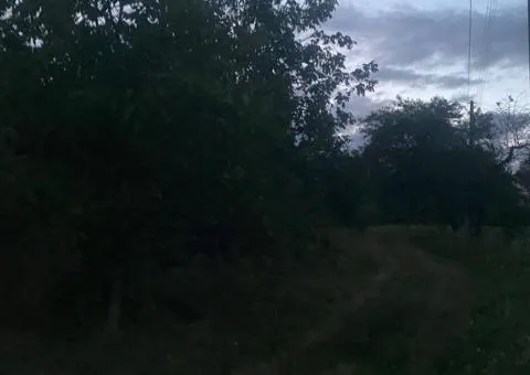 For sale cheap! Homestead or dacha With state act 1 ha Or for rent! - 1/3