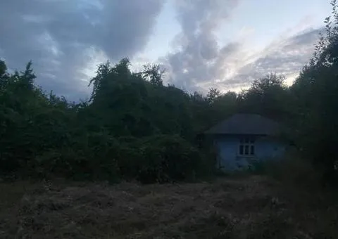 For sale cheap! Homestead or dacha With state act 1 ha Or for rent! - 3/3