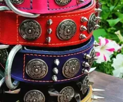 Ошейник кожаный для собак больших пород