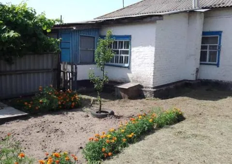 Продам дом на берегу Днепра собственный берег 25 соток земли - 1/6