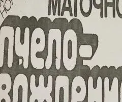 Раціональне двухматочное пчеловождение