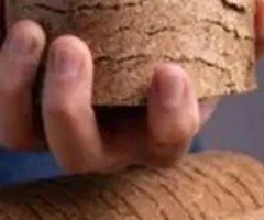 Wood fuel briquettes wholesale — from 22 tonnes