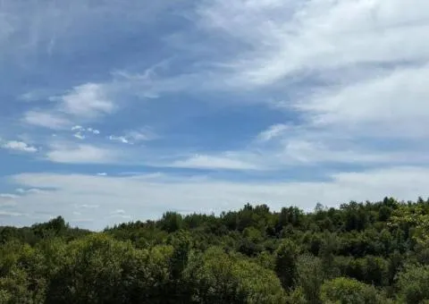 Sale of land plots in the village of Huta near Uzhgorod - 3/3