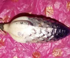 Ёлочные украшения игрушки СССР