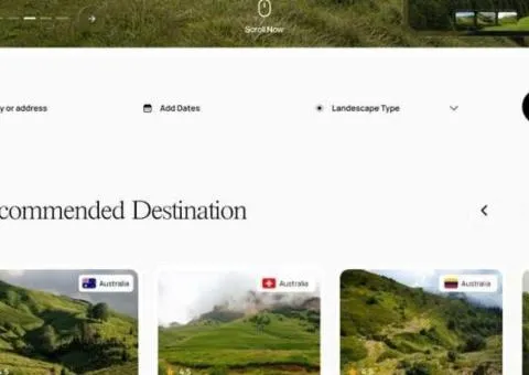Custom website development
