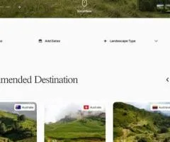 Custom website development