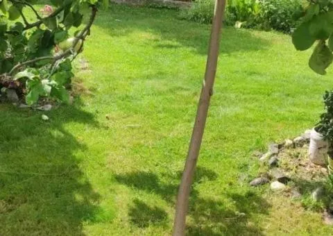 Оренда 4-кімнатного будинку, 180 м², бул. Академіка Вернадського, Святошинський район, Київ - 4/10