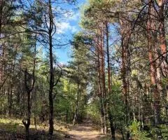 Гореничи угловой участок 14 соток рядом с лесом - 1