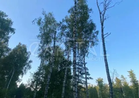 Продажа земли сельскохозяйственного назначения, 330 сот., Калиновка - 2/3