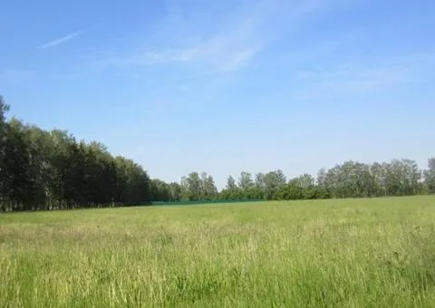Land plot for sale, 280 sotkas (ares), Henerala Petrova St, Cheremushky, Odesa - 1/5