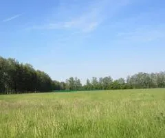 Land plot for sale, 280 sotkas (ares), Henerala Petrova St, Cheremushky, Odesa