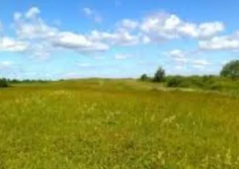 Land plot for sale, 280 sotkas (ares), Henerala Petrova St, Cheremushky, Odesa - 2/5