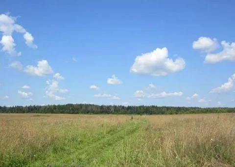 Land plot for sale, 280 sotkas (ares), Henerala Petrova St, Cheremushky, Odesa - 3/5