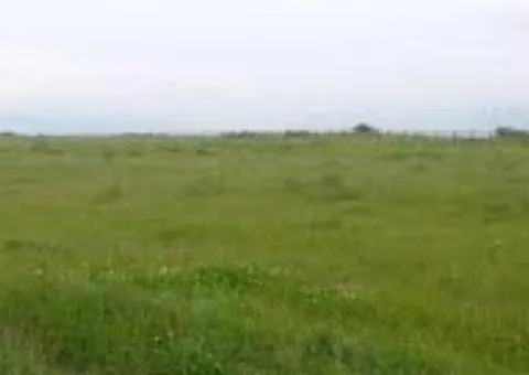 Land plot for sale, 280 sotkas (ares), Henerala Petrova St, Cheremushky, Odesa - 4/5