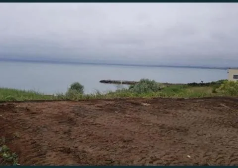 Land plot for sale, 8 sotkas, Parusna, Odeskyi district, Sosnovyi Bereh - 2/7