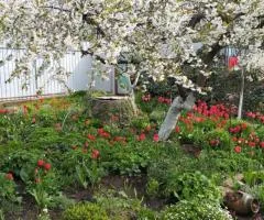 3-room house for sale, Kostandi, Odesa, with a large yard