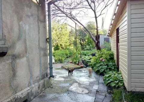 3-room house for sale, 100 m², Fontan, Odesa - 7/10