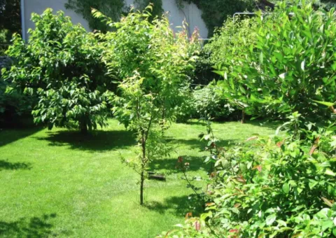 Land plot for sale for individual housing construction, Kordonnyi Ln, Odesa - 5/5