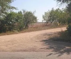 Land plot for sale, 4.53 sotkas, Masiv 25, Velykodolynske, Odeskyi district, Odesa region