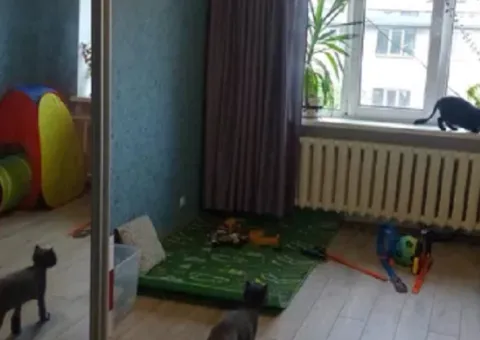 3-room apartment for sale, 60 m², 5/5 floor, Breusa, Odesa - 4/7