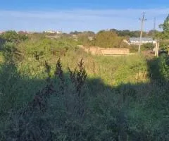 Продажа земельного участка, 10 соток, Уютная, Зотовая Горка, Одесса