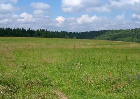 Land plot for sale, 4 sotkas, Vuzivskyi, Chernihivska St, Odesa - 4/5