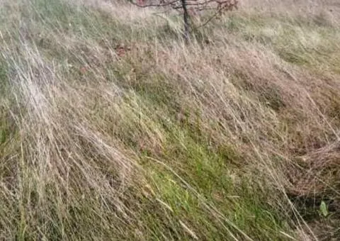 Land plot for sale, 10 sotkas, Hlubochytsia, Hlybochytsia - 2/4