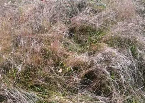 Land plot for sale, 10 sotkas, Hlubochytsia, Hlybochytsia - 3/4