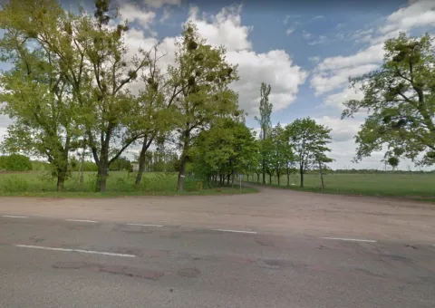 Land plot for sale, 85 sotkas (ares), Oliivka (Khutor Dalniy), Kroshnia, Zhytomyr - 2/3
