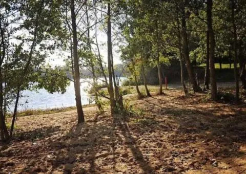 Land plot for sale, 9 sotkas, V Lypynskoho, Bohuniia, Zhytomyr - 4/6