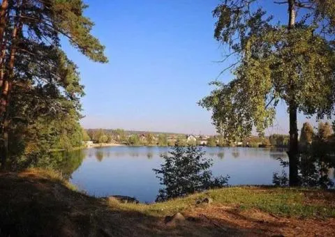 Land plot for sale, 9 sotkas, V Lypynskoho, Bohuniia, Zhytomyr - 6/6