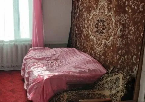 Продажа 3-комнатного дома, 60 м², Мира, Богуния, Житомир - 9/10