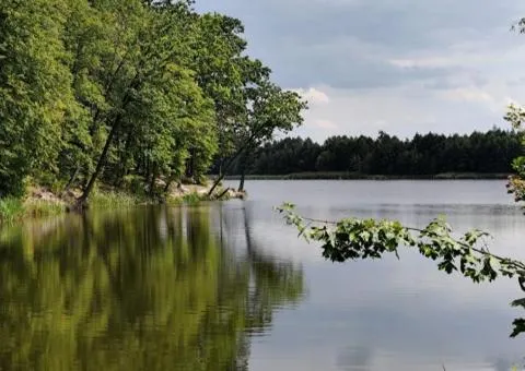 Land plot for sale, 49 sotkas, Perlyavka, with access to the Teteriv River - 2/5
