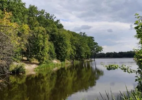 Land plot for sale, 49 sotkas, Perlyavka, with access to the Teteriv River - 4/5