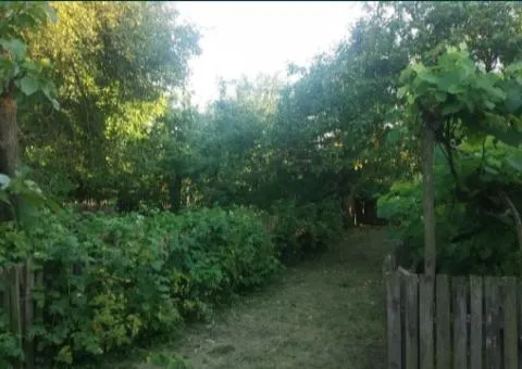 Продаж 3-кімнатного будинку, 75 м², С.Бабушки, Бабушки - 5/5