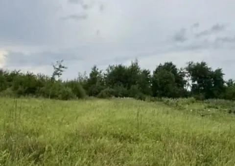 Land plot for sale, 9 sotkas, Zaliznychna St, Kroshnia, Zhytomyr - 3/3
