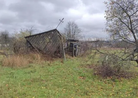 Land plot for sale, 36 sotkas, Levkiv, 7 km from Zhytomyr - 1/4