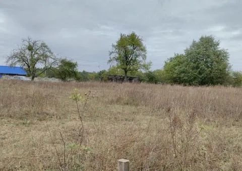 Land plot for sale, 36 sotkas, Levkiv, 7 km from Zhytomyr - 2/4
