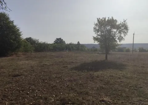 Land plot for sale, 36 sotkas, Levkiv, 7 km from Zhytomyr - 4/4